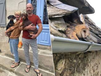 Dirk en Vicky openen B&B tussen de uilen in Frans paradijsje: “Het enige wat je hier hoort zijn de fluitende vogeltjes”
