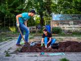 Studenten Victor en Noor hebben een moestuintje: ‘Er is verder toch niets te doen’