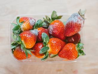 Waarom beschimmelt fruit en mag je dat nog opeten? “Een appel met bruine vlekken, daar kan je echt ziek van worden”
