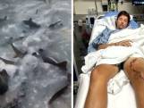 Un Américain survit après être tombé dans un port infesté de requins