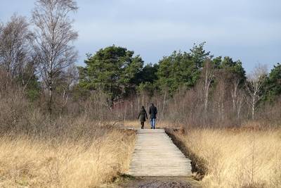 Genieten van de stilte in De Groote Peel