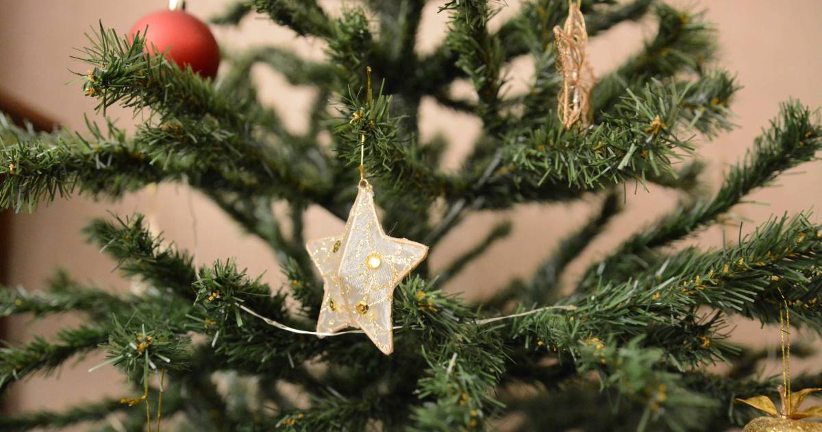Voici quand vous devriez enlever votre sapin (pour ne pas vous porter malchance) Tendances