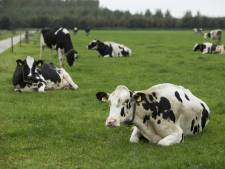 Landbouwgrond over? Geef het aan een andere boer via ‘de Grondbank’