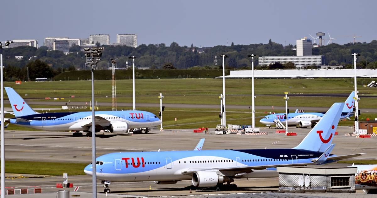 Voli da Deurne alla Spagna con scalo a Zaventem: “Pure kafka all’aeroporto di Anversa” |  interno