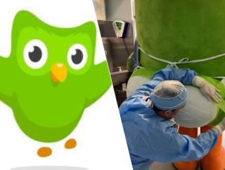 KIJK. Taalapp Duolingo deelt bizarre video op social media: mascotte krijgt ‘Braziliaanse Butt Lift’