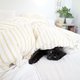 In bed met je kat, hoe (on)gezond is dat? ‘Je kunt net zo goed zelf met je schoenen aan in bed gaan liggen’