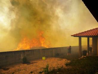 47 graden in Portugal: wordt Zuid-Europa onleefbaar? “Ik maak me zorgen over verwoestijning, wie weet keer ik ooit terug naar België”