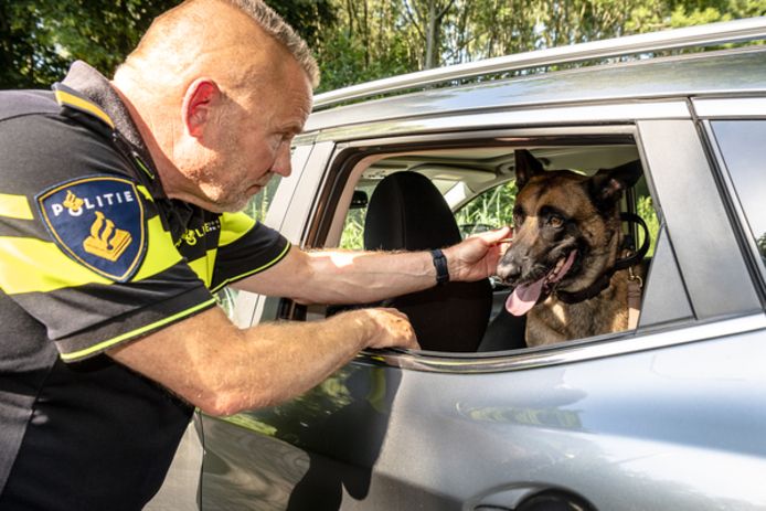 Voorbijgaand Met pensioen gaan Aannemer Politie extra alert op puffende honden in snikhete auto's: 'We accepteren  geen excuses' | Rotterdam | AD.nl