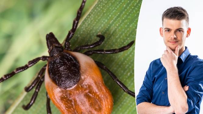 1 op 5 teken is besmet met de Borrelia-bacterie: deze plaatsen moet je na een wandeling zeker controleren op teken