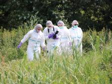 Dode gevonden in weiland bij Westdorpe; politie sluit misdrijf niet uit