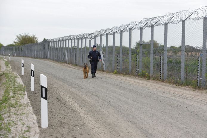 Een Hongaarse politieman patrouilleert de grens met Servië.