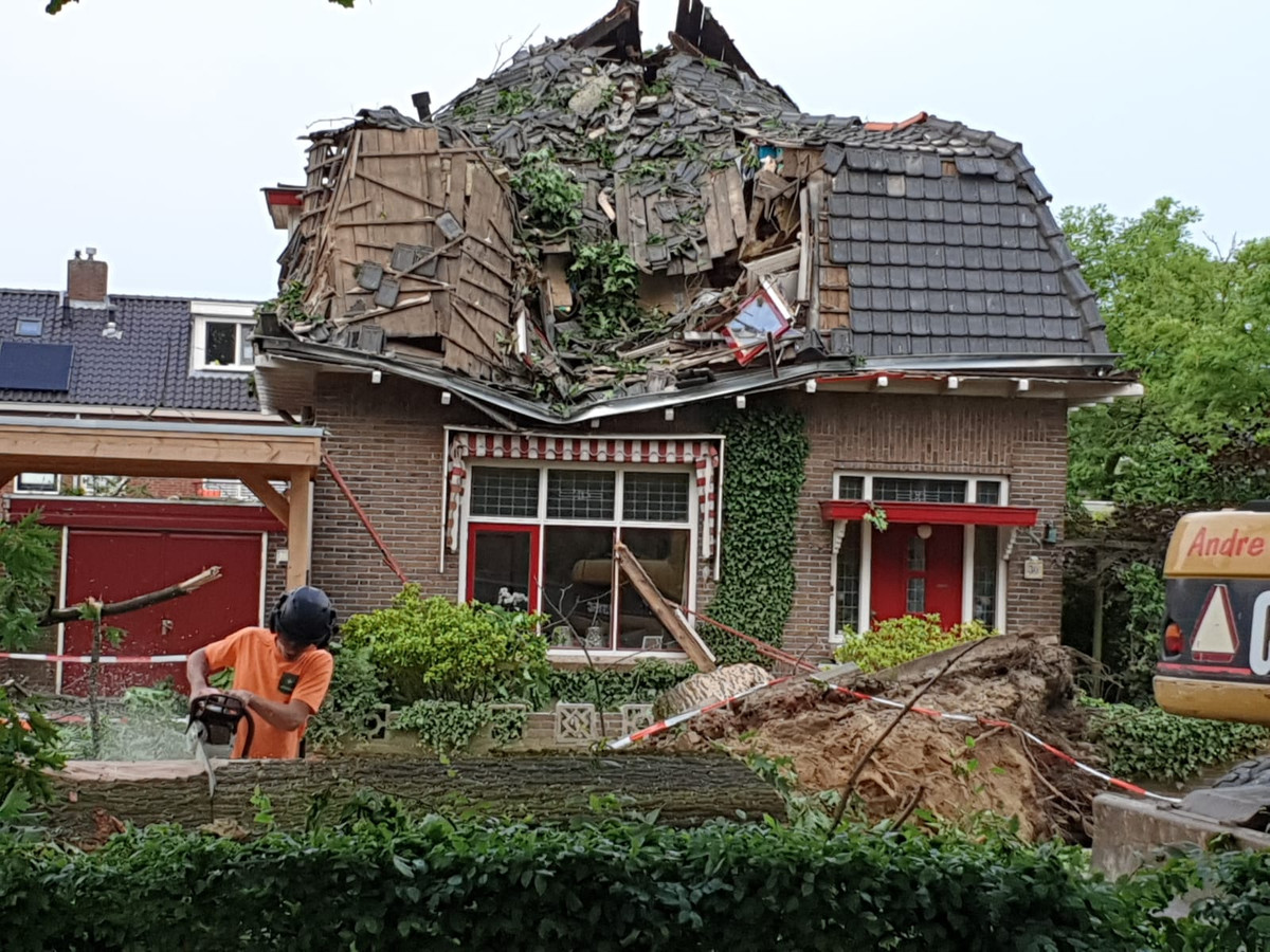 Bewoners vrezen dat door slecht onderhoud weer een boom op huis valt ‘Hele was