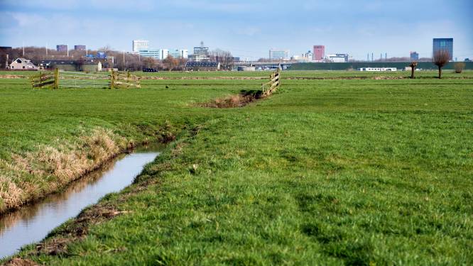Milieufederatie wil méér windmolens in Rijnenburg en Reijerscop