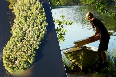 WATCH. Oliver (24) buys private island in Finland for just €28,000 and now hopes to spend his holidays there: “Started without any experience”