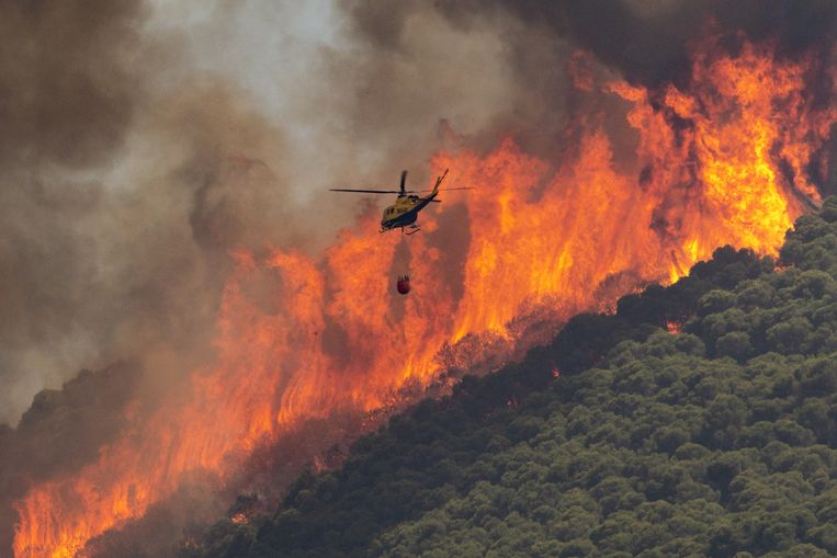 Een helikopter blust een bosbrand in het Spaanse Mijas, in Malaga. Beeld ANP / EPA