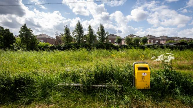 Een miljoen voor meer groen in Helmond: vier wijken krijgen extra planten en bomen