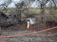 De brandweer rukte maandag opnieuw uit omdat de heidebrand in De Maasduinen weer oplaaide.