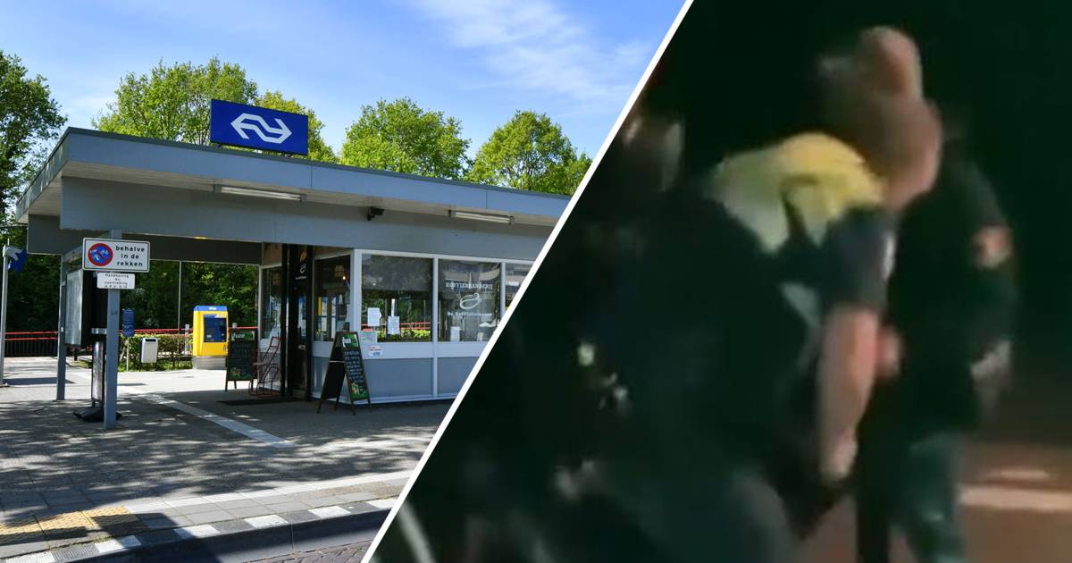 Medewerker Blauwnet ernstig mishandeld op station Borne na controle zwartrijder in nachttrein: 'Dit 