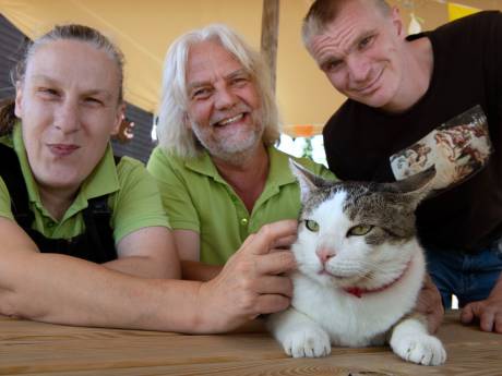 Verbijstering in Bilthoven wanneer brandweer kater Zippy uit het afval vist: ‘Wie doet nou zoiets?’