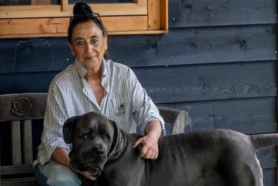 De hemel op aarde voor honden en katten die overal zijn afgeserveerd: ‘Het is hierheen, of de dood’