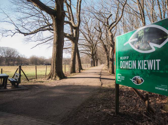 Hasselt organiseert zomerschool op Domein Kiewit