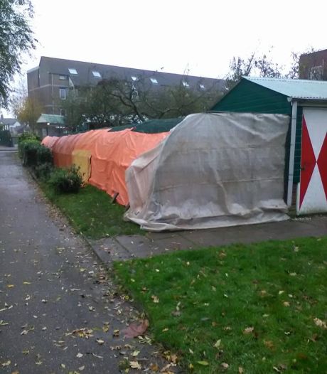 Kinderboerderijen sluiten door vogelgriepvirus