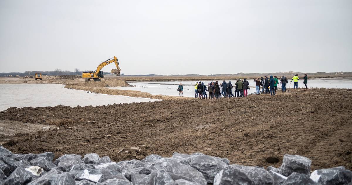 Nieuwe Zwindijk bij Retranchement: noem je die naar een mens, een dier, een plek...?