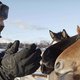 Tv-review: 'De helden van Arnout' op Eén