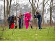 In januari ontvangt gemeente Bergen op Zoom bijna 15.000 bomen van Trees for All. In de maanden januari en februari worden deze bomen op verschillende locaties in de gemeente geplant.