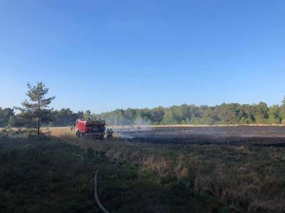 Eén hectare afgebrand op Kalmthoutse Heide: brandweer snel en massaal ter plaatse