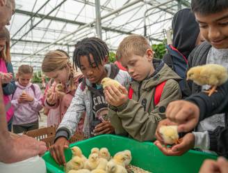 263 Truiense leerlingen ontdekken de boerenstiel tijdens ‘BinnenBijBoerenDagen’

