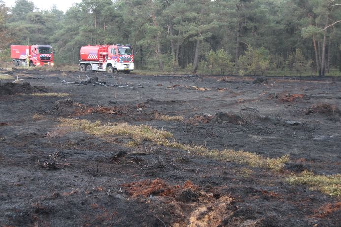 De brandweer moest maandag wederom in actie komen op de Sallandse Heuvelrug.