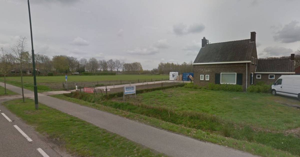 Hondenhandelaar in Diessen moet stoppen met verkoop van puppy's, forse boete dreigt - BD.nl