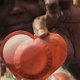 2Doc: Joyride - In Pursuit of the Female Condom': het onbevredigende onderzoek naar het vrouwencondoom