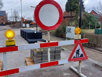 Steenpoeldreef op donderdag tijdlang afgesloten door bomenkap