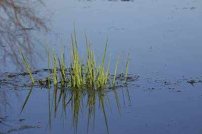 Vrees voor overstroomde akkers door beekherstel de Run in Steensel