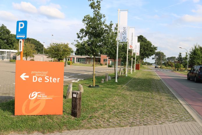 op-zoek-naar-prehistorische-dieren-op-de-ster-dino-weetjes-speurtocht
