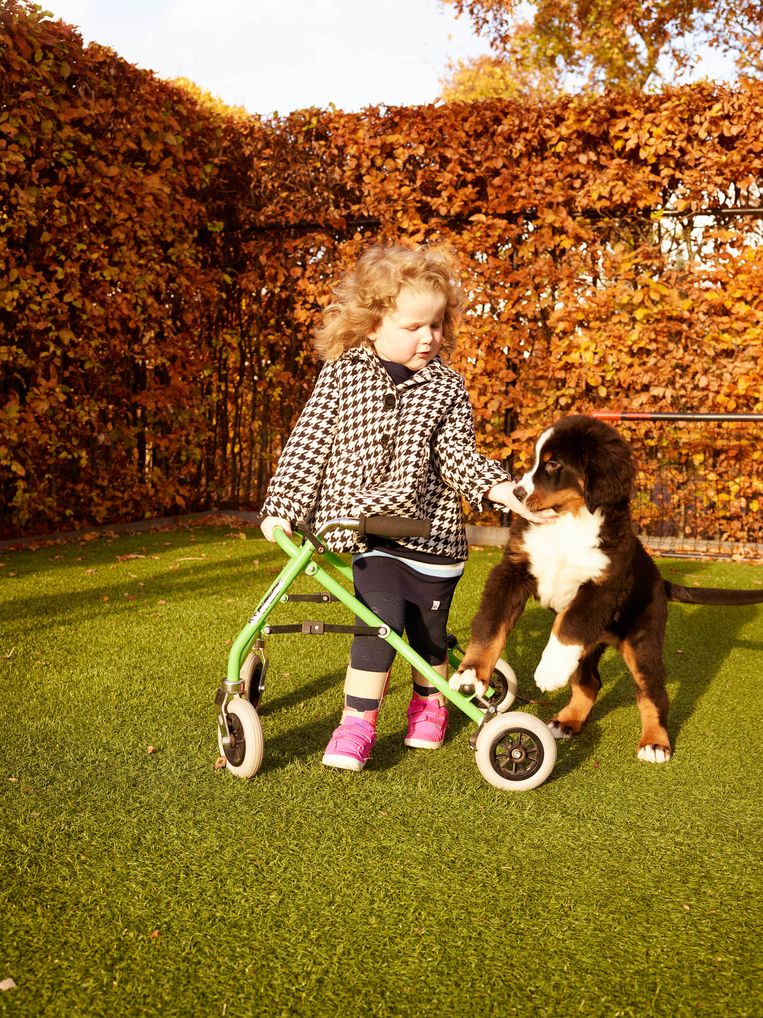 Dirkjes ouders hadden een kinderneuroloog in een Frans ziekenhuis bereid gevonden om Dirkje het medicijn een paar keer toe te dienen. Met succes, ze ging vooruit. Beeld Henk Wildschut