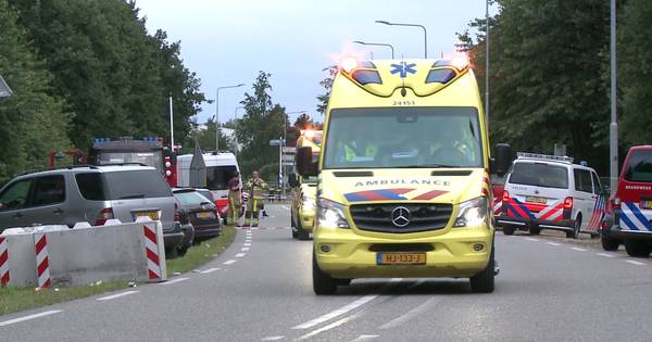 Busje rijdt in op Pinkpopgangers: dode en drie zwaargewonden - Tubantia