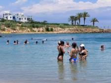Des punaises d’eau géantes “croqueuses d’orteil” sur l’île de Chypre