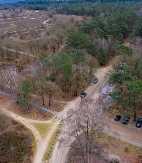 Bezoekje aan Veluwse bossen gaat er de komende jaren heel anders uitzien