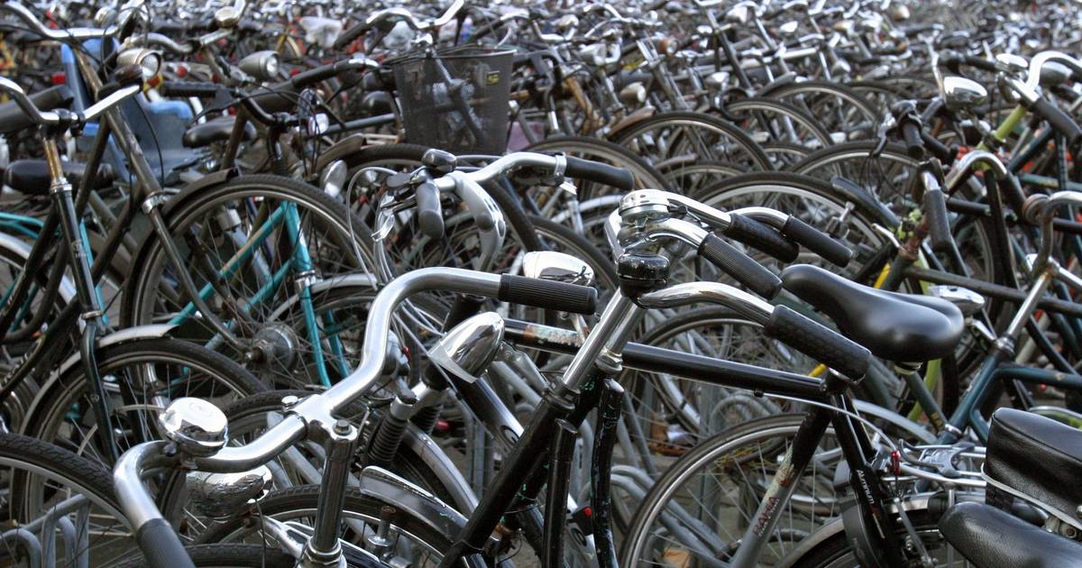 Aanwezigheid katoen Aftrekken Zo'n duizend fietsen per maand naar Fietsdepot | Den Haag | AD.nl