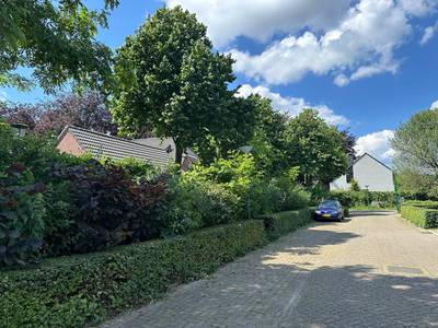 Luyksgestelnaar krijgt groen licht voor seniorenwoning in achtertuin ondanks bezwaar omwonenden