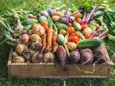 Vegan op het platteland? Dat is allesbehalve makkelijk
