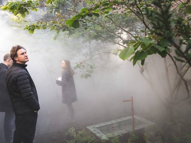 VIDEO. Exotische bomen, onheilspellend gezang en héél véél mist: wandel mee door de gekste tuin van Gent 