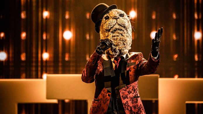 Otter in 'The Masked Singer'