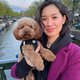 Deze Amsterdamse toypoedels zijn sterren op Instagram: ‘Mensen vragen of ik zijn zaad wil opsturen’