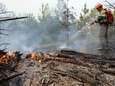 Bosbranden veroorzaken "moeilijke situatie" in delen van Rusland volgens Poetin