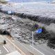 Tsunami in Japan veroorzaakte ongekende wereldreis van zeedieren en afval