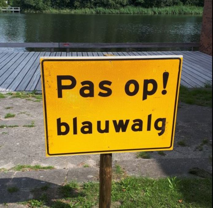 Waarschuwingsbord tegen blauwalg.